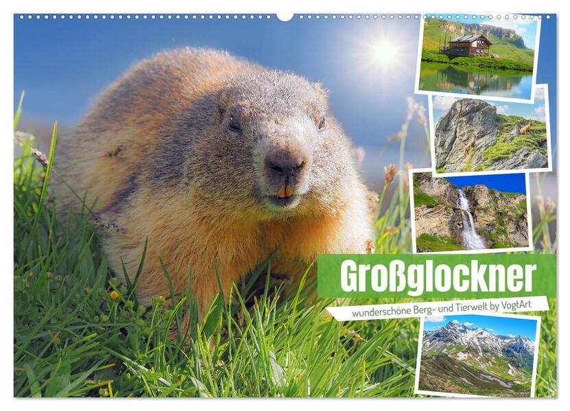 Großglockner wunderschöne Berg- und Tierwelt (Wandkalender 2024 DIN A2 quer) CALVENDO Monatskalender