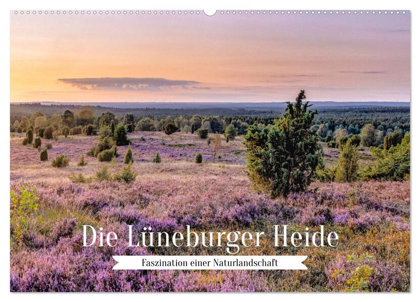 Die Lüneburger Heide - Faszination einer Naturlandschaft (Wandkalender 2024 DIN A2 quer) CALVENDO Monatskalender