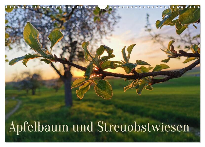 Apfelbaum und Streuobstwiesen (Wandkalender 2024 DIN A3 quer) CALVENDO Monatskalender