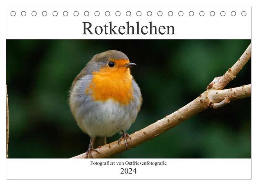 Rotkehlchen - Fotografiert von Ostfriesenfotografie (Tischkalender 2024 DIN A5 quer) CALVENDO Monatskalender