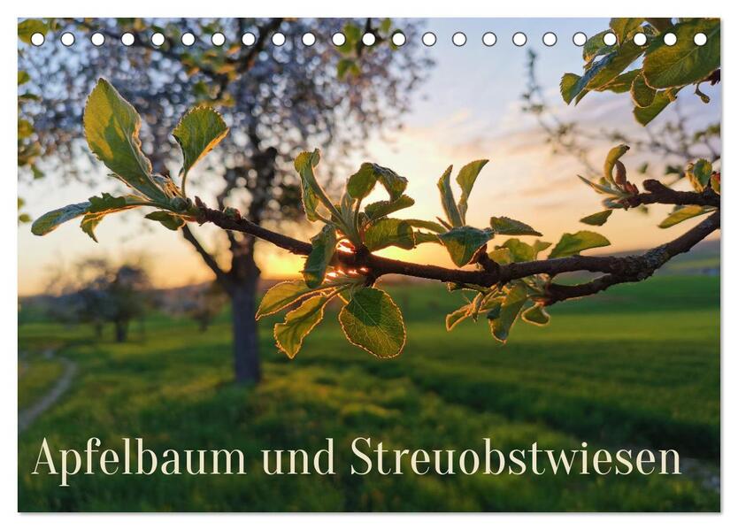 Apfelbaum und Streuobstwiesen (Tischkalender 2024 DIN A5 quer) CALVENDO Monatskalender