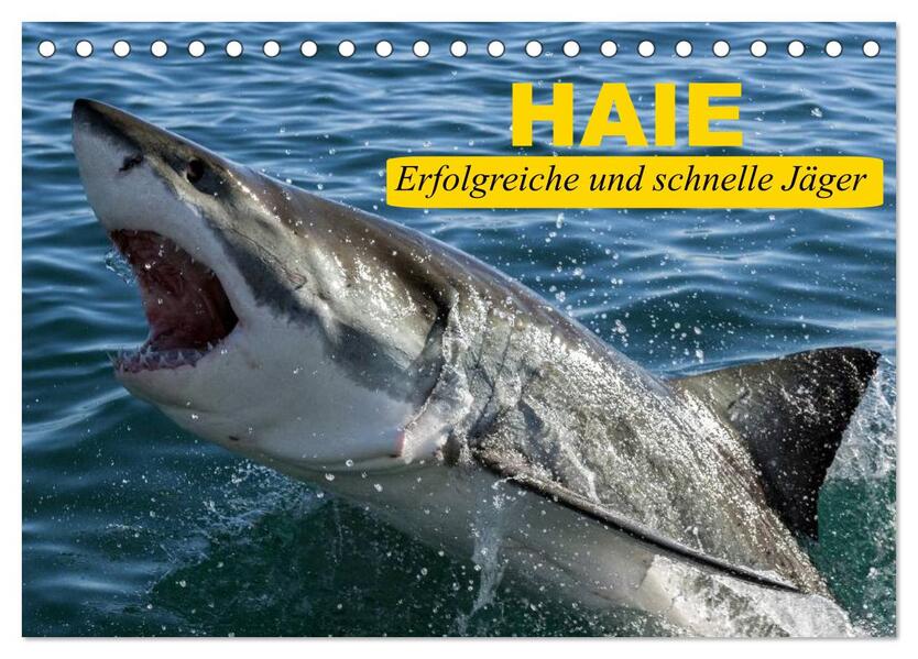 Haie. Erfolgreiche und schnelle Jäger (Tischkalender 2024 DIN A5 quer) CALVENDO Monatskalender