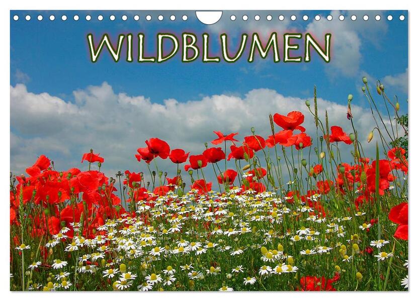 Wildblumen 2024 (Wandkalender 2024 DIN A4 quer) CALVENDO Monatskalender