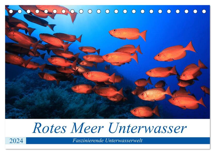 Rotes Meer Unterwasser (Tischkalender 2024 DIN A5 quer) CALVENDO Monatskalender