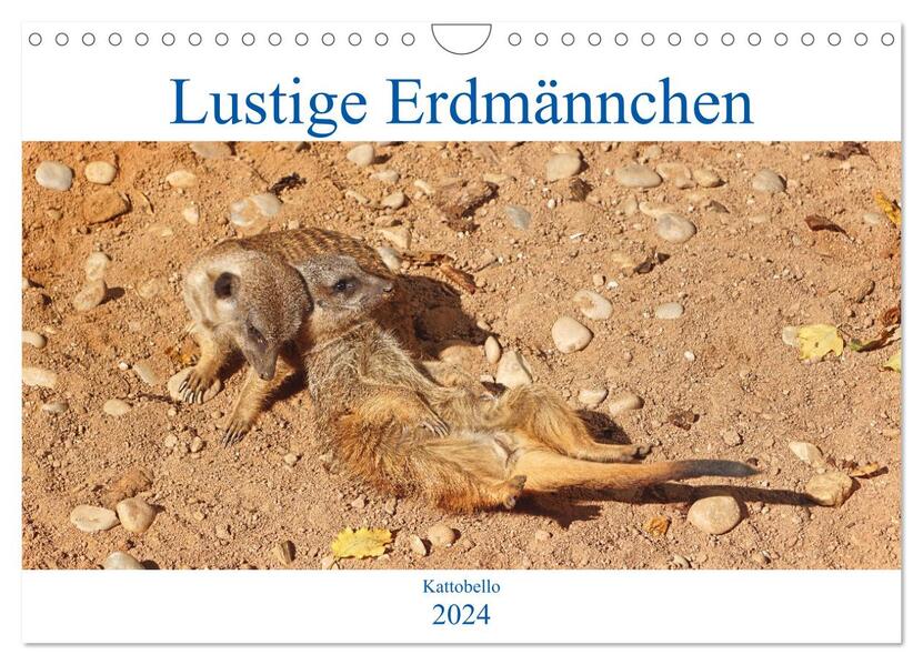 Lustige Erdmännchen (Wandkalender 2024 DIN A4 quer) CALVENDO Monatskalender