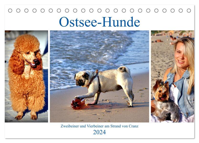 Ostsee-Hunde - Zweibeiner und Vierbeiner am Strand von Cranz (Tischkalender 2024 DIN A5 quer) CALVENDO Monatskalender