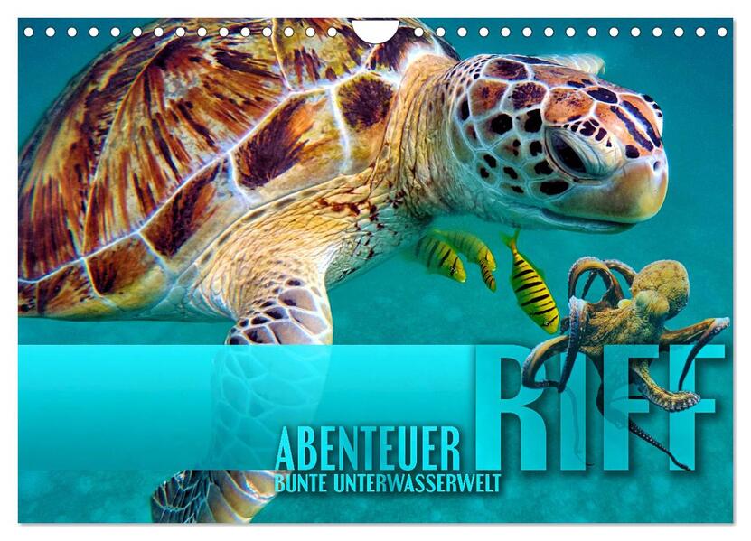 Abenteuer Riff - bunte Unterwasserwelt (Wandkalender 2024 DIN A4 quer) CALVENDO Monatskalender