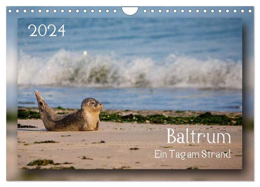 Baltrum - Ein Tag am Strand (Wandkalender 2024 DIN A4 quer) CALVENDO Monatskalender