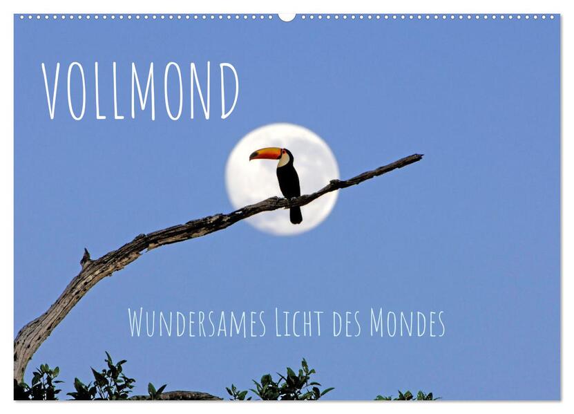 Vollmond: Wundersames Licht des Mondes (Wandkalender 2024 DIN A2 quer) CALVENDO Monatskalender