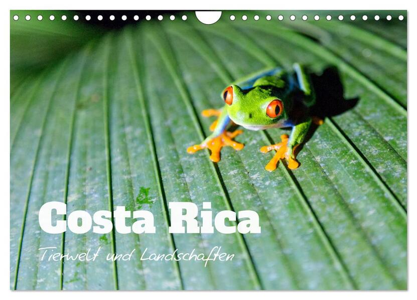 Costa Rica - Tierwelt und Landschaften (Wandkalender 2024 DIN A4 quer) CALVENDO Monatskalender