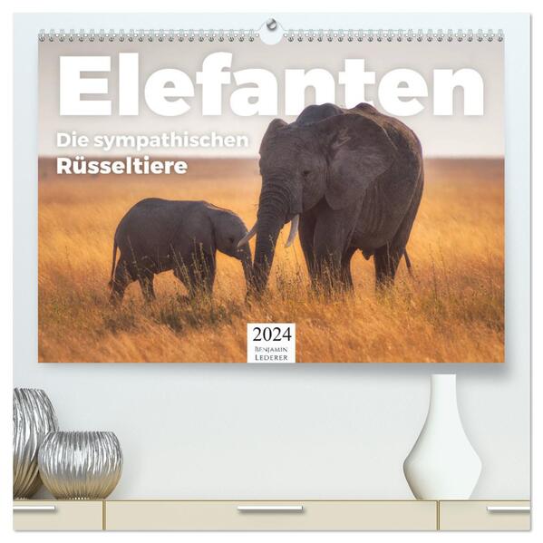 Elefanten - Die sympathischen Rüsseltiere (hochwertiger Premium Wandkalender 2024 DIN A2 quer) Kunstdruck in Hochglanz