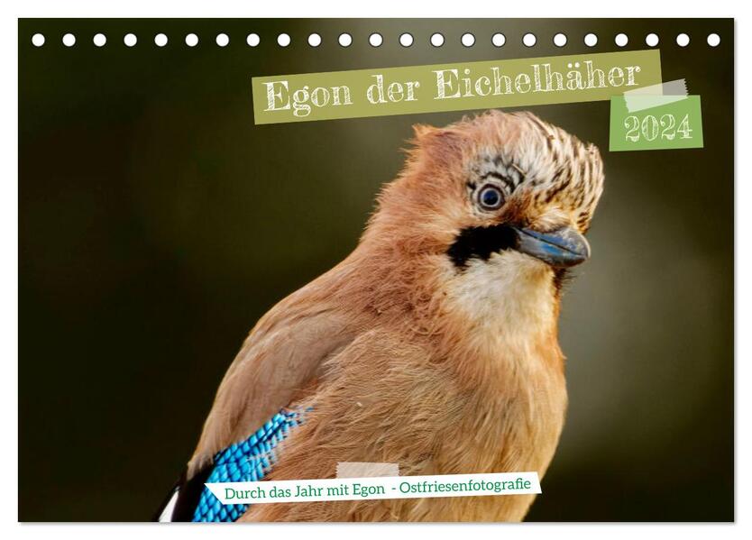 Egon der Eichelhäher - Durch das Jahr mit Egon - von Ostfriesenfotografie (Tischkalender 2024 DIN A5 quer) CALVENDO Monatskalender