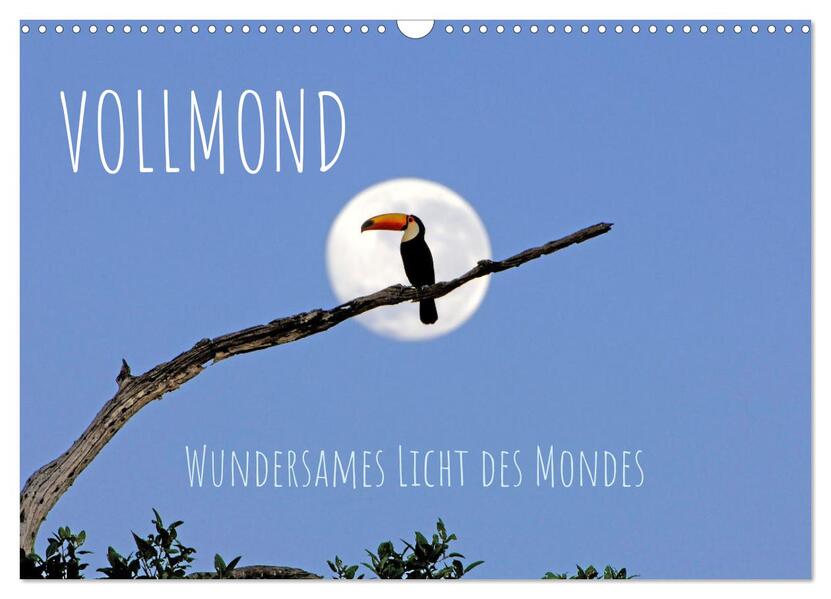 Vollmond: Wundersames Licht des Mondes (Wandkalender 2024 DIN A3 quer) CALVENDO Monatskalender