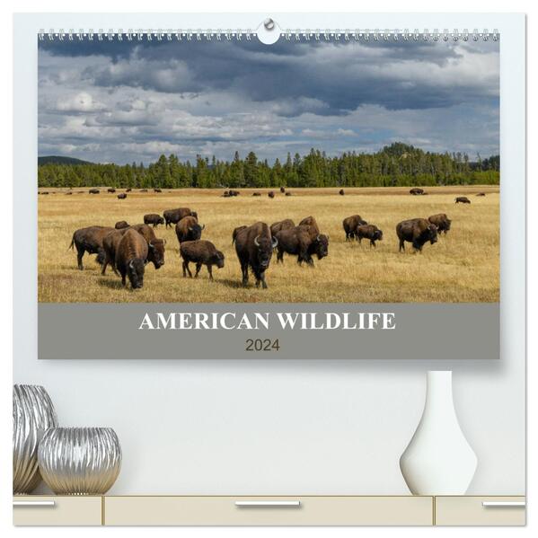 American Wildlife (hochwertiger Premium Wandkalender 2024 DIN A2 quer) Kunstdruck in Hochglanz