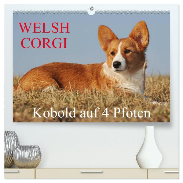 Welsh Corgi - Kobold auf 4 Pfoten (hochwertiger Premium Wandkalender 2024 DIN A2 quer) Kunstdruck in Hochglanz
