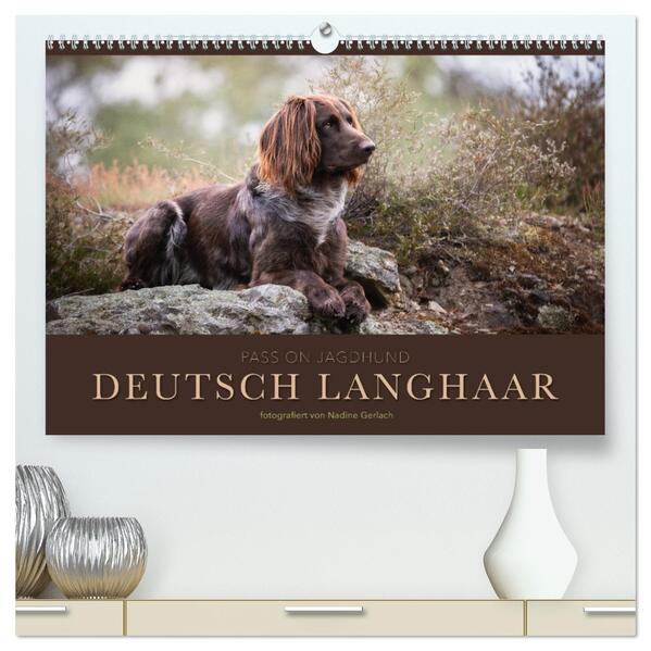 Passion Jagdhund - Deutsch Langhaar (hochwertiger Premium Wandkalender 2024 DIN A2 quer) Kunstdruck in Hochglanz