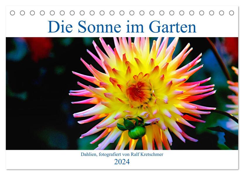 Die Sonne im Garten - Dahlien fotografiert von Ralf Kretschmer. (Tischkalender 2024 DIN A5 quer) CALVENDO Monatskalender