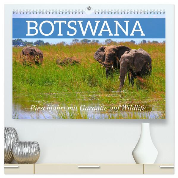 Botswana- Pirschfahrt mit Garantie auf Wildlife (hochwertiger Premium Wandkalender 2024 DIN A2 quer) Kunstdruck in Hochglanz
