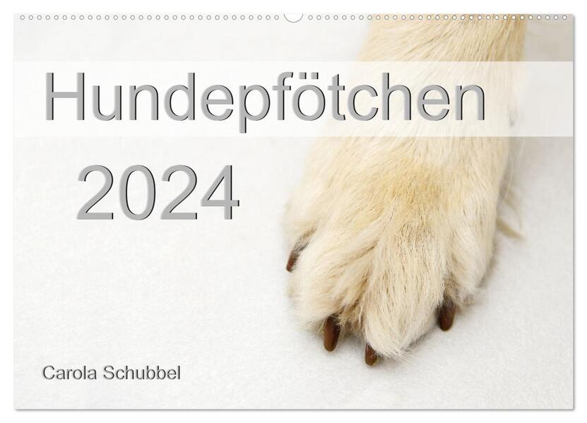 Hundepfötchen (Wandkalender 2024 DIN A2 quer) CALVENDO Monatskalender