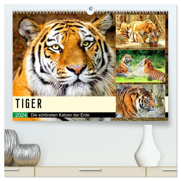 Tiger. Die schönsten Katzen der Erde (hochwertiger Premium Wandkalender 2024 DIN A2 quer) Kunstdruck in Hochglanz