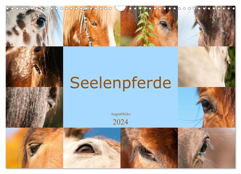 Seelenpferde - Augenblicke (Wandkalender 2024 DIN A3 quer) CALVENDO Monatskalender