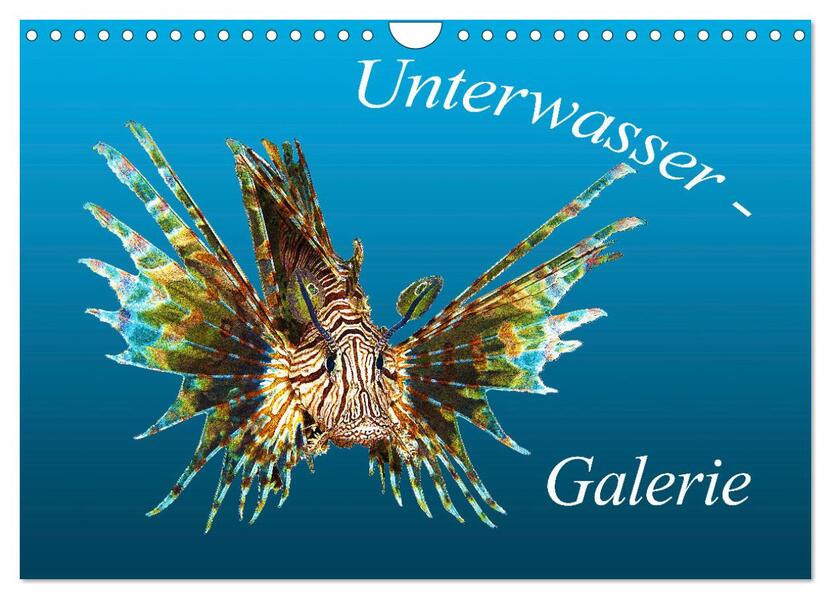 Unterwasser-Galerie (Wandkalender 2024 DIN A4 quer) CALVENDO Monatskalender