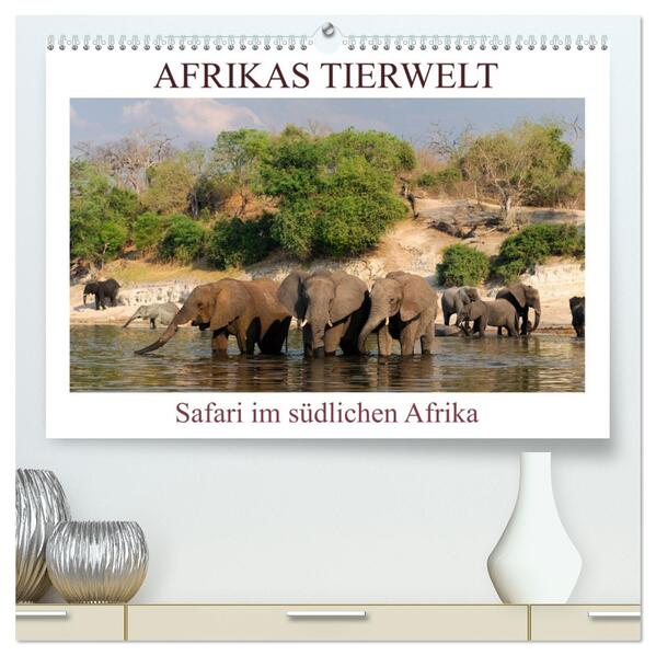 Afrikas Tierwelt Safari im südlichen Afrika (hochwertiger Premium Wandkalender 2024 DIN A2 quer) Kunstdruck in Hochglanz