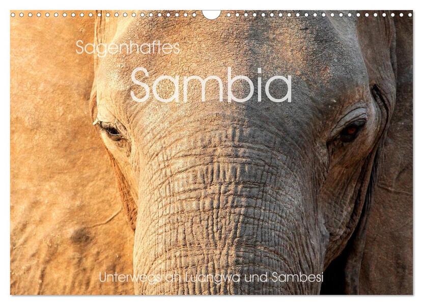 Sagenhaftes Sambia - Unterwegs an Luangwa und Sambesi (Wandkalender 2024 DIN A3 quer) CALVENDO Monatskalender