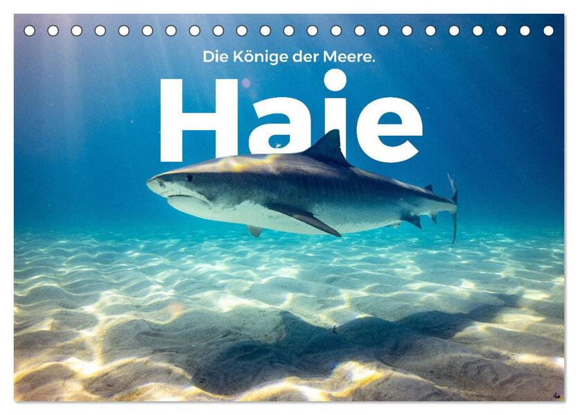 Haie - Könige der Meere. (Tischkalender 2024 DIN A5 quer) CALVENDO Monatskalender
