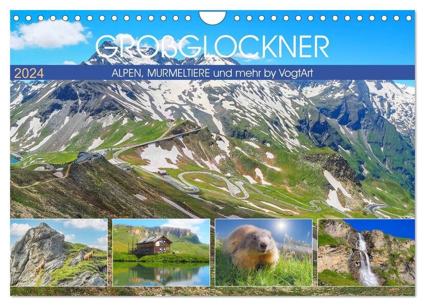 Großglockner Alpen Murmeltiere & mehr by VogtArt (Wandkalender 2024 DIN A4 quer) CALVENDO Monatskalender