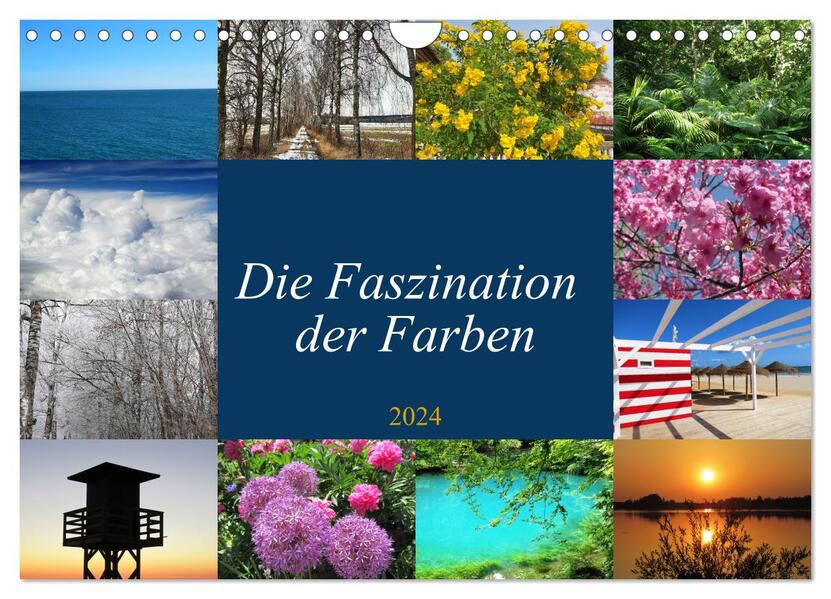 Die Faszination der Farben (Wandkalender 2024 DIN A4 quer) CALVENDO Monatskalender