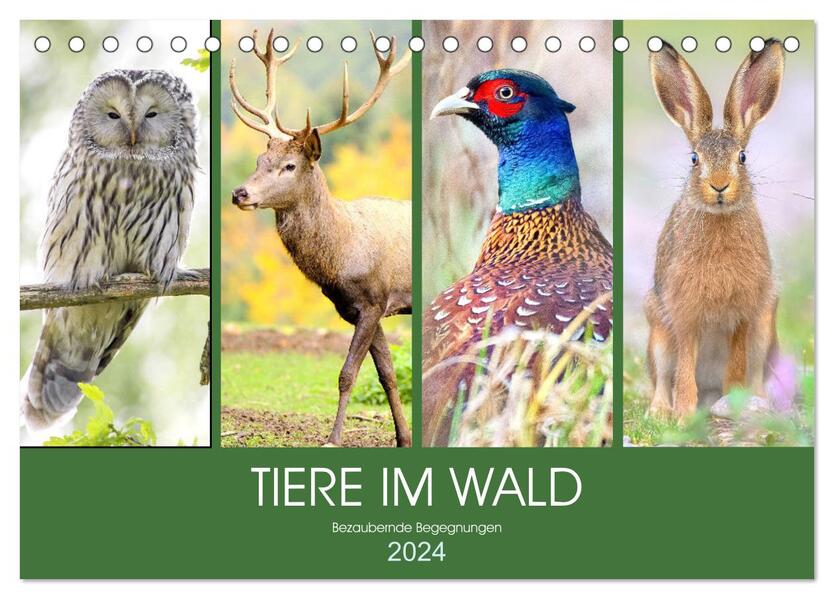 Tiere im Wald. Bezaubernde Begegnungen (Tischkalender 2024 DIN A5 quer) CALVENDO Monatskalender