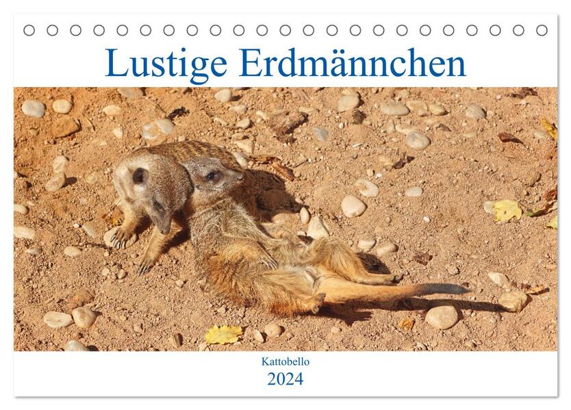 Lustige Erdmännchen (Tischkalender 2024 DIN A5 quer) CALVENDO Monatskalender
