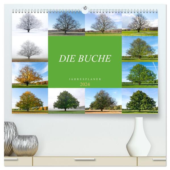 Die Buche: Jahresplaner 2024 (hochwertiger Premium Wandkalender 2024 DIN A2 quer) Kunstdruck in Hochglanz
