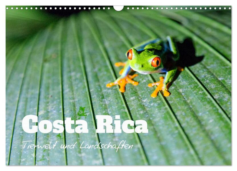 Costa Rica - Tierwelt und Landschaften (Wandkalender 2024 DIN A3 quer) CALVENDO Monatskalender