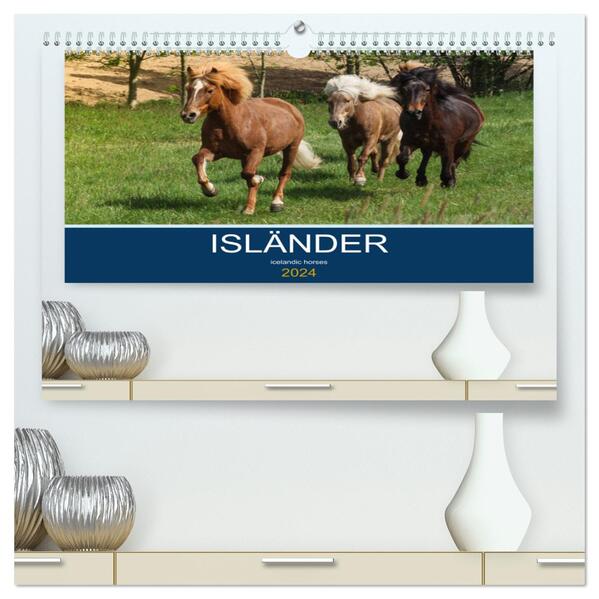 Isländer - icelandic horses (hochwertiger Premium Wandkalender 2024 DIN A2 quer) Kunstdruck in Hochglanz