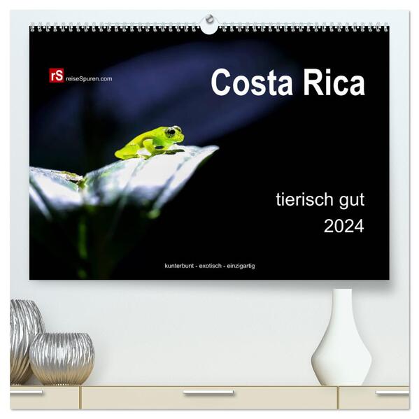 Costa Rica tierisch gut 2024 (hochwertiger Premium Wandkalender 2024 DIN A2 quer) Kunstdruck in Hochglanz