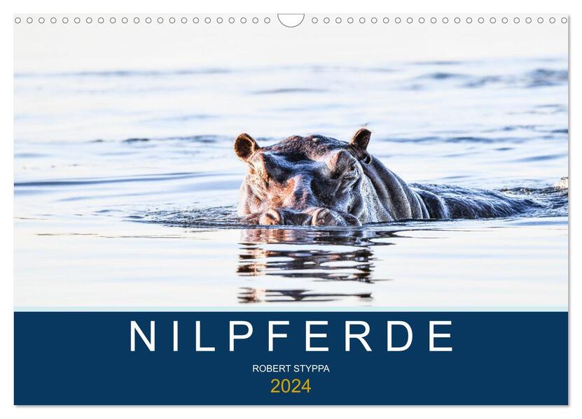 Nilpferde Kolosse in Afrika (Wandkalender 2024 DIN A3 quer) CALVENDO Monatskalender