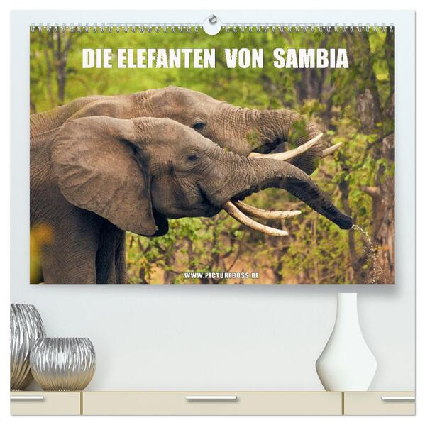 Die Elefanten von Sambia (hochwertiger Premium Wandkalender 2024 DIN A2 quer) Kunstdruck in Hochglanz