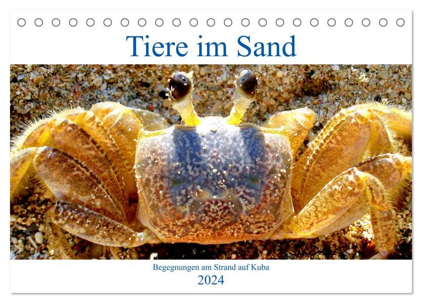 Tiere im Sand - Begegnungen am Strand auf Kuba (Tischkalender 2024 DIN A5 quer) CALVENDO Monatskalender