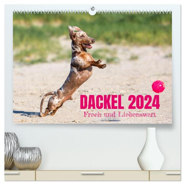 DACKEL 2024 Frech und Liebenwert (hochwertiger Premium Wandkalender 2024 DIN A2 quer) Kunstdruck in Hochglanz