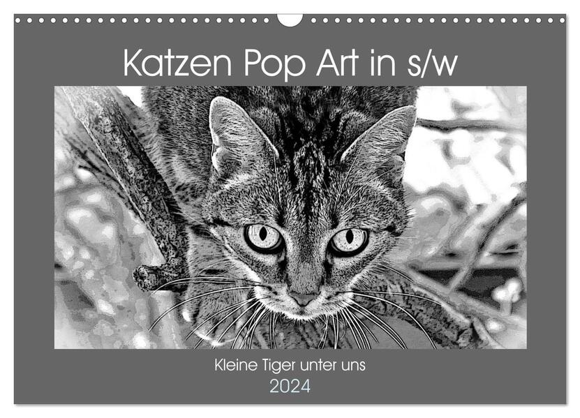 Katzen Pop Art in s/w - Kleine Tiger unter uns (Wandkalender 2024 DIN A3 quer) CALVENDO Monatskalender