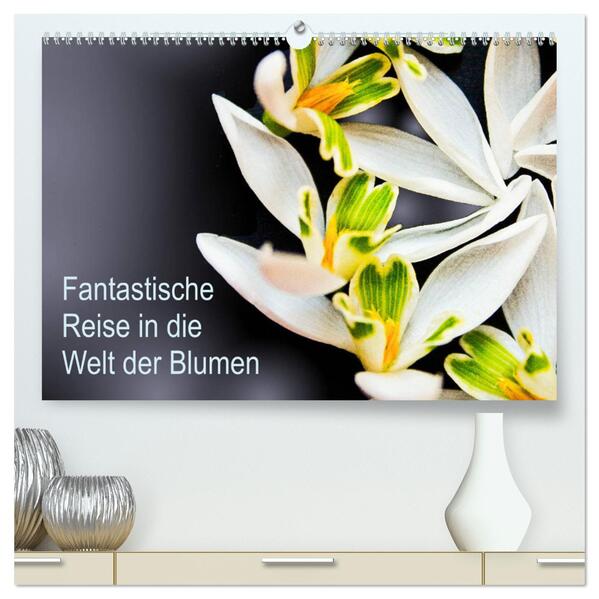 Fantastische Reise in die Welt der Blumen (hochwertiger Premium Wandkalender 2024 DIN A2 quer) Kunstdruck in Hochglanz