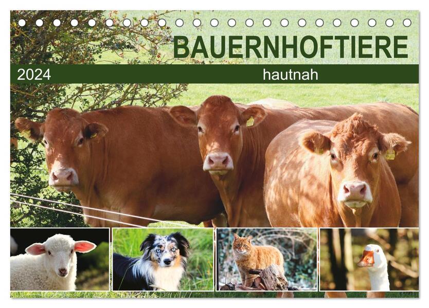 Bauernhoftiere hautnah (Tischkalender 2024 DIN A5 quer) CALVENDO Monatskalender