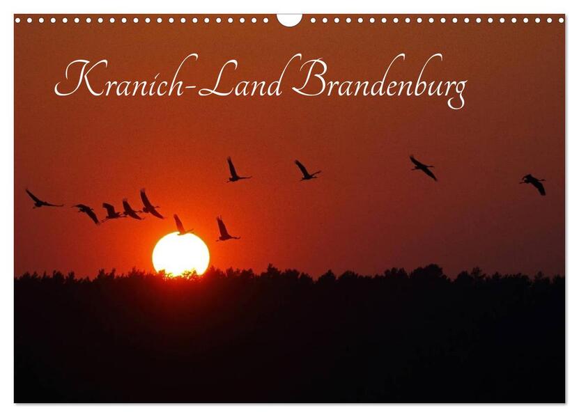 Kranich-Land Brandenburg (Wandkalender 2024 DIN A3 quer) CALVENDO Monatskalender