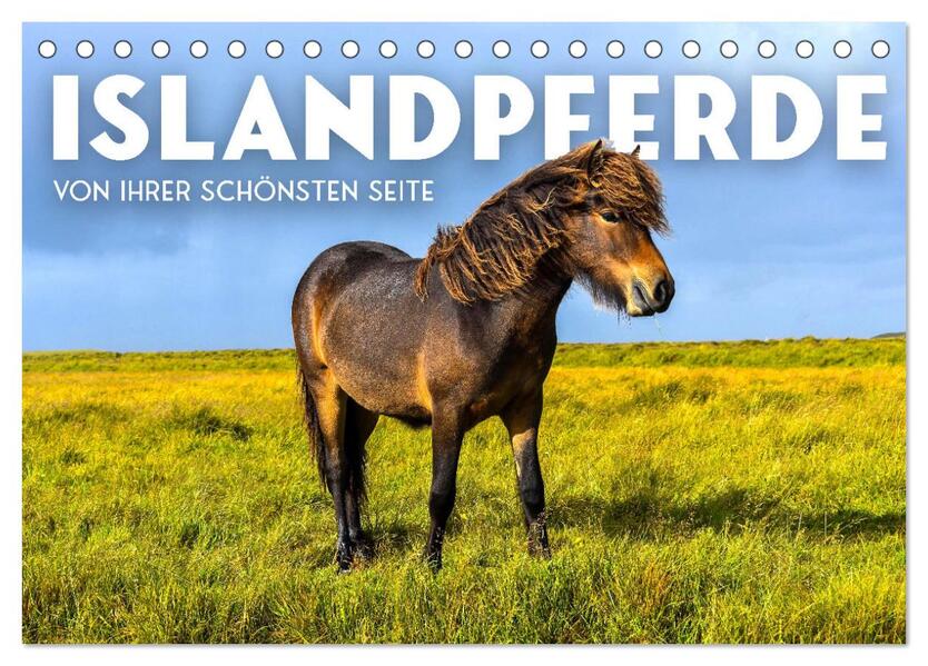 Islandpferde - Von ihrer schönsten Seite (Tischkalender 2024 DIN A5 quer) CALVENDO Monatskalender