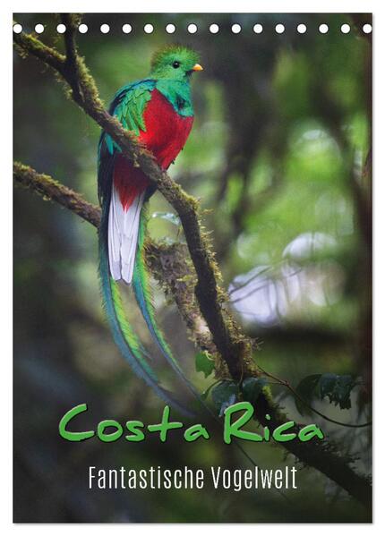 Costa Rica - Fantastische Vogelwelt (Tischkalender 2024 DIN A5 hoch) CALVENDO Monatskalender