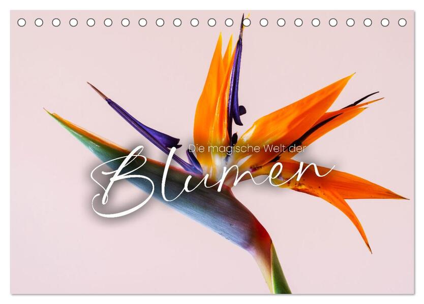 Die magische Welt der Blumen (Tischkalender 2024 DIN A5 quer) CALVENDO Monatskalender