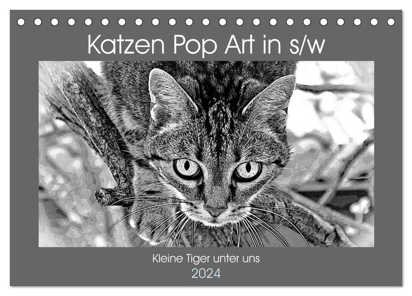 Katzen Pop Art in s/w - Kleine Tiger unter uns (Tischkalender 2024 DIN A5 quer) CALVENDO Monatskalender