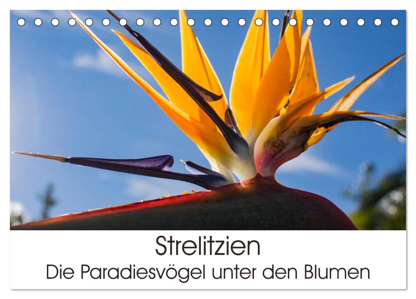 Strelitzien - die Paradiesvögel unter den Blumen (Tischkalender 2024 DIN A5 quer) CALVENDO Monatskalender